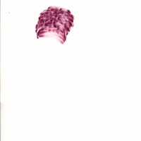 Pastel rose sur calque 21 x 29,7cm 2008  nuques david 6